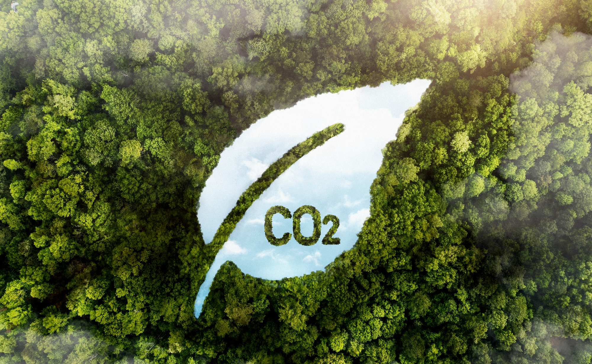 Net Zero vs ESG ตัวไหนสร้าง Business Impact ได้มากกว่า? คำตอบขึ้นอยู่กับว่าองค์กรกำลังมองหาผลลัพธ์ในด้านใด เพราะทั้งสองแนวทางสร้างคุณค่าให้ธุรกิจในคนละมิติ ESG มุ่งเน้นการสร้างความยั่งยืนในภาพรวมผ่านการบริหารความเสี่ยงและการสร้างความเชื่อมั่นให้กับผู้มีส่วนได้ส่วนเสีย Net Zero มุ่งเน้นการลดการปล่อยก๊าซเรือนกระจกและเพิ่มประสิทธิภาพการใช้พลังงาน