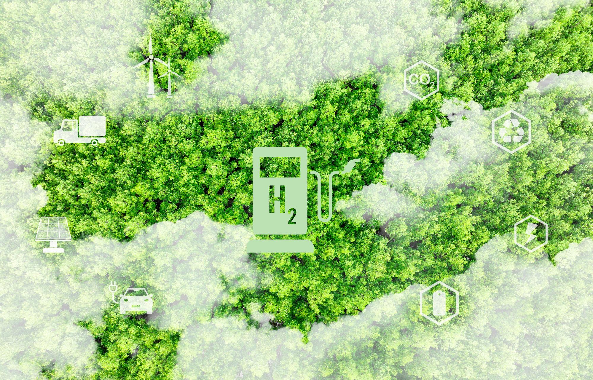 Carbon Neutral vs Net Zero : Net Zero is a broader and more rigorous commitment. It covers all seven greenhouse gases, not just carbon dioxide (CO₂), but also gases such as methane (CH₄) and nitrous oxide (N₂O).